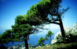 Capri 3: Blick vom Monte Solaro