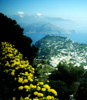 Capri 4: Blick vom Monte Solaro